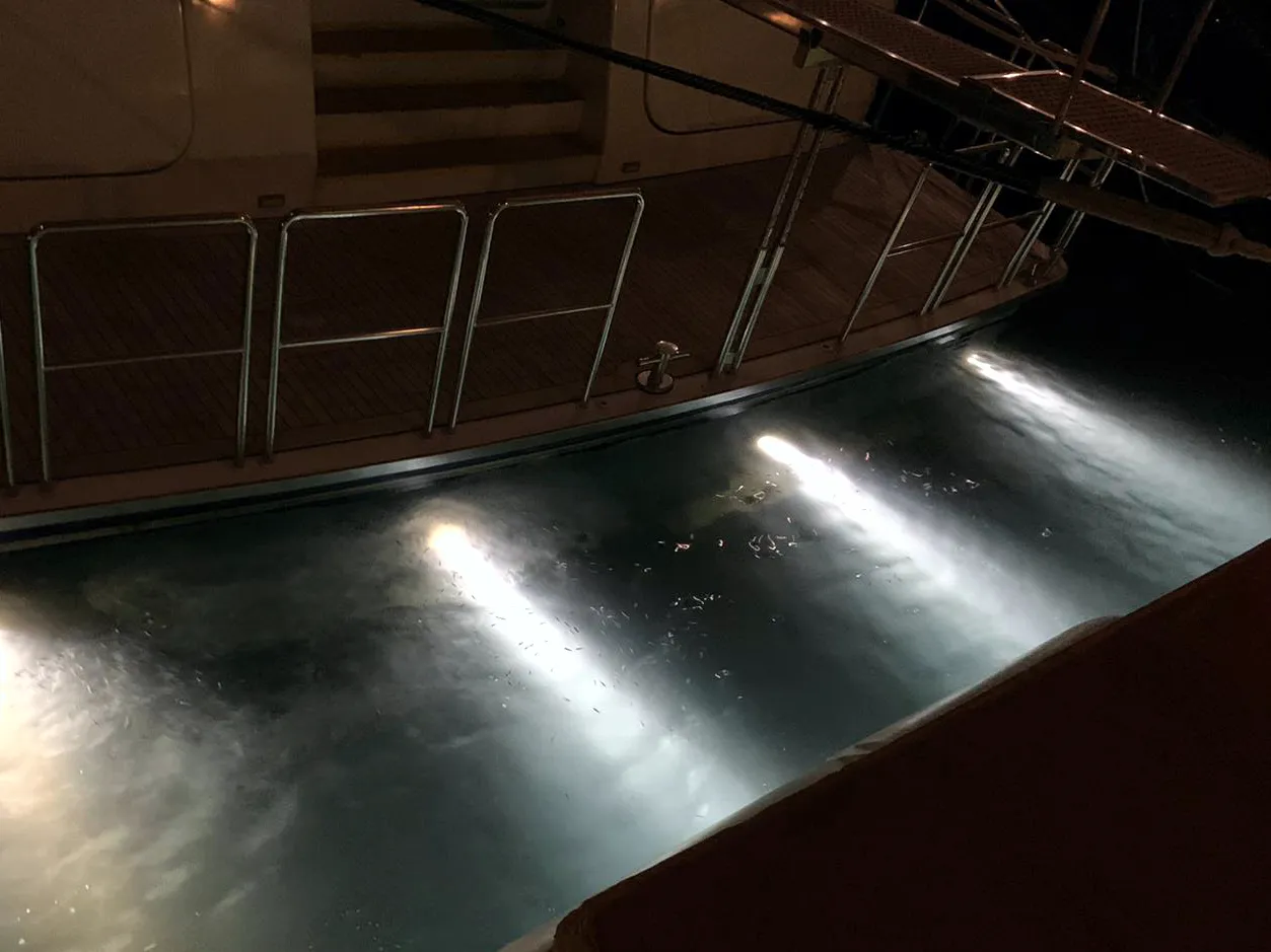 Lighting_Underwater_6